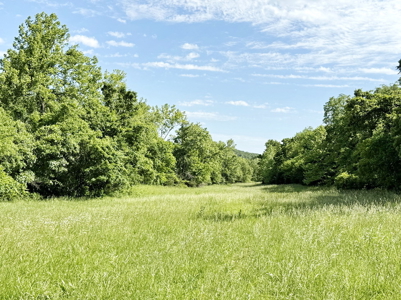 Recreational Property & Build-Site for Sale in Cedar County MO - image 12