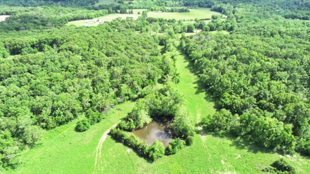 Recreational Property & Build-Site for Sale in Cedar County MO - image 7
