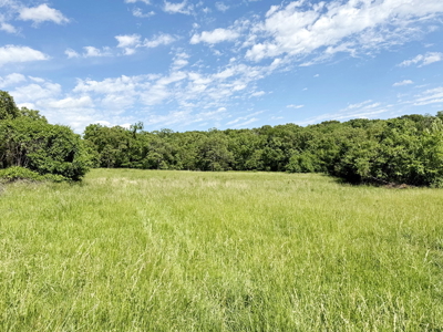 Recreational Property & Build-Site for Sale in Cedar County MO - image 8
