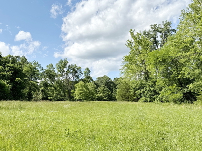 Recreational Property & Build-Site for Sale in Cedar County MO - image 13
