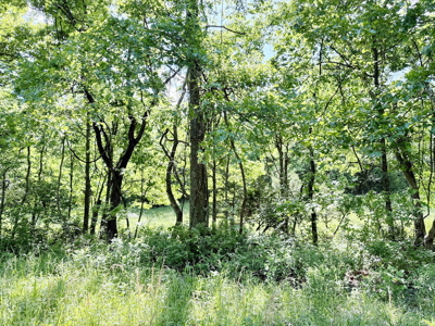 Recreational Property & Build-Site for Sale in Cedar County MO - image 22