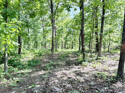 Recreational Property & Build-Site for Sale in Cedar County MO - image 25