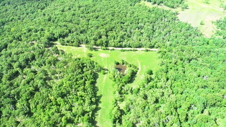 Recreational Property & Build-Site for Sale in Cedar County MO - image 5