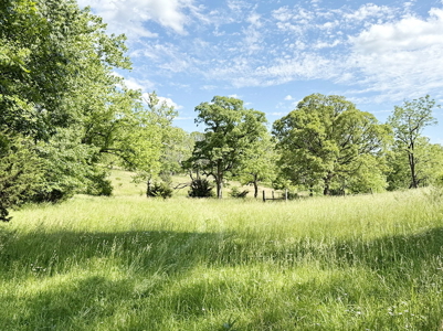 Recreational Property & Build-Site for Sale in Cedar County MO - image 14