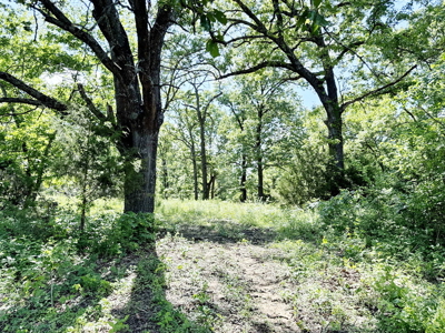 Recreational Property & Build-Site for Sale in Cedar County MO - image 24
