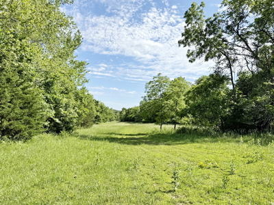 Recreational Property & Build-Site for Sale in Cedar County MO - image 9