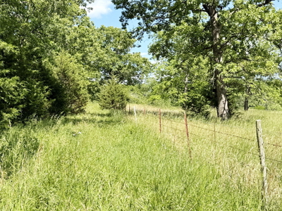 Recreational Property & Build-Site for Sale in Cedar County MO - image 17