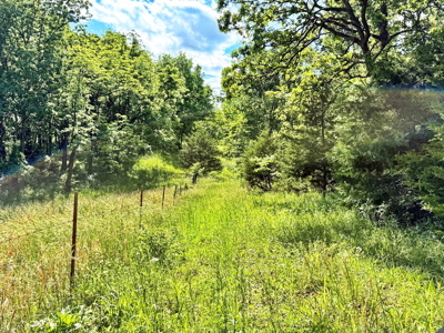 Recreational Property & Build-Site for Sale in Cedar County MO - image 15