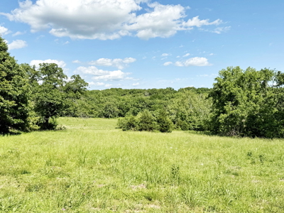 Recreational Property & Build-Site for Sale in Cedar County MO - image 28