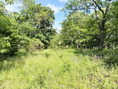 Recreational Property & Build-Site for Sale in Cedar County MO - image 16