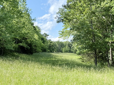 Recreational Property & Build-Site for Sale in Cedar County MO - image 18