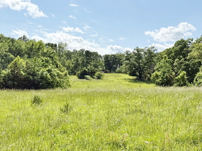 Recreational Property & Build-Site for Sale in Cedar County MO - image 23