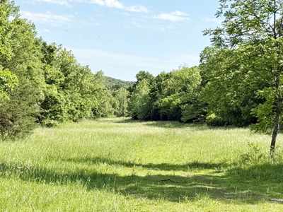 Recreational Property & Build-Site for Sale in Cedar County MO - image 10