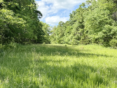 Recreational Property & Build-Site for Sale in Cedar County MO - image 19