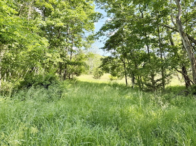 Recreational Property & Build-Site for Sale in Cedar County MO - image 20