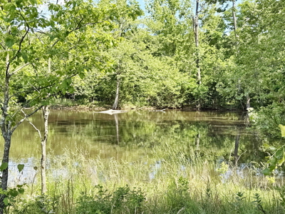 Recreational Property & Build-Site for Sale in Cedar County MO - image 11