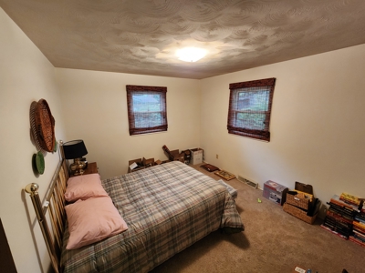 🏡 Online Real Estate Auction – 3 Bed, 2 Bath Home in Town - image 31