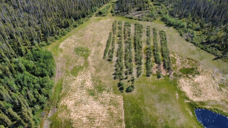 Home and Land for Sale near Copper Center, AK with Mountain Views - image 4