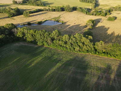 Land For Sale Vernon County MO - image 8