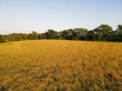 Land For Sale Vernon County MO - image 19