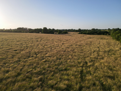 Land For Sale Vernon County MO - image 2