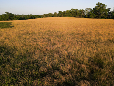 Land For Sale Vernon County MO - image 16