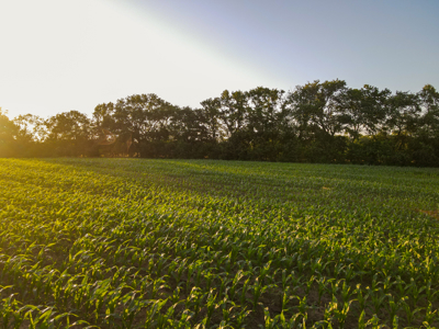 Land For Sale Vernon County MO - image 23