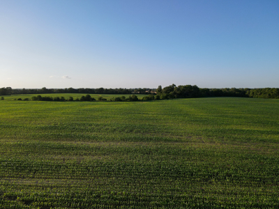Land For Sale Vernon County MO - image 4