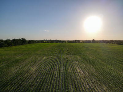 Land For Sale Vernon County MO - image 3