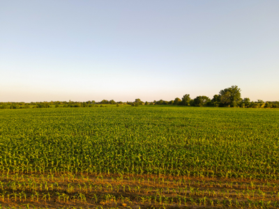 Land For Sale Vernon County MO - image 21