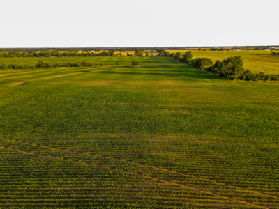 Land For Sale Vernon County MO - image 20