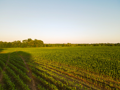Land For Sale Vernon County MO - image 22