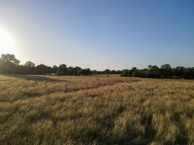 Land For Sale Vernon County MO - image 9