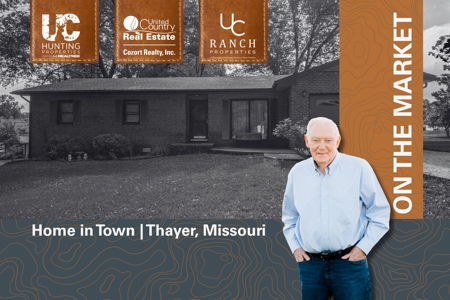 Home in Town for sale in Thayer, Missouri - image 40