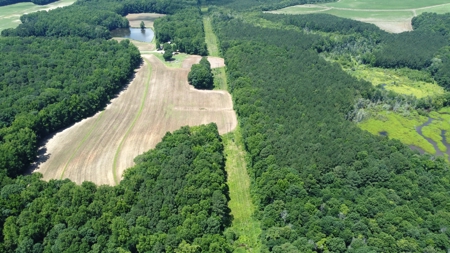 Versatile 41 Acres Close to Momeyer & Raleigh - image 5