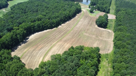 Versatile 41 Acres Close to Momeyer & Raleigh - image 7