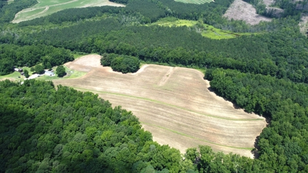 Versatile 41 Acres Close to Momeyer & Raleigh - image 3