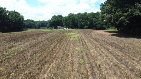 Versatile 41 Acres Close to Momeyer & Raleigh - image 13