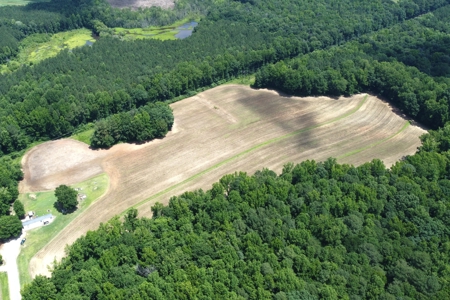 Versatile 41 Acres Close to Momeyer & Raleigh - image 2