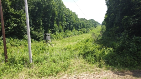 Versatile 41 Acres Close to Momeyer & Raleigh - image 11