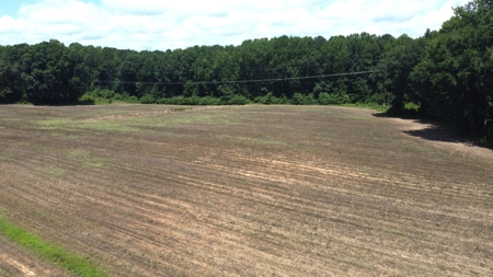 Versatile 41 Acres Close to Momeyer & Raleigh - image 9