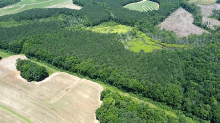 Versatile 41 Acres Close to Momeyer & Raleigh - image 4