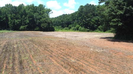 Versatile 41 Acres Close to Momeyer & Raleigh - image 14