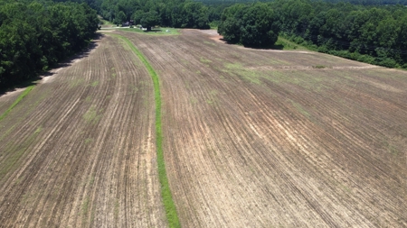 Versatile 41 Acres Close to Momeyer & Raleigh - image 8
