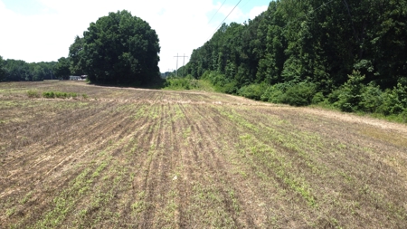 Versatile 41 Acres Close to Momeyer & Raleigh - image 12