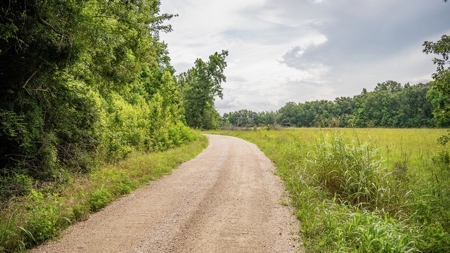 East Baton Rouge Recreational Land for Sale - image 35