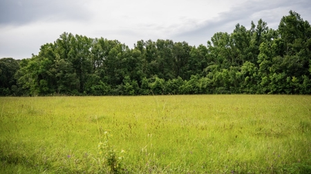 East Baton Rouge Recreational Land for Sale - image 39