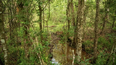 East Baton Rouge Recreational Land for Sale - image 44
