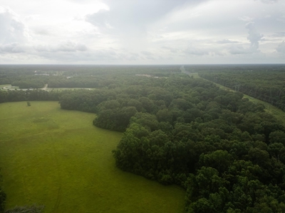 East Baton Rouge Recreational Land for Sale - image 32