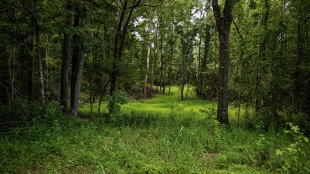 East Baton Rouge Recreational Land for Sale - image 34